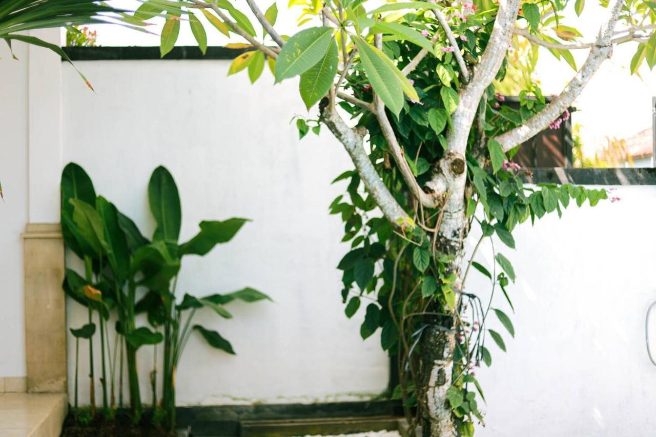 Adi Guest House チャングー エクステリア 写真