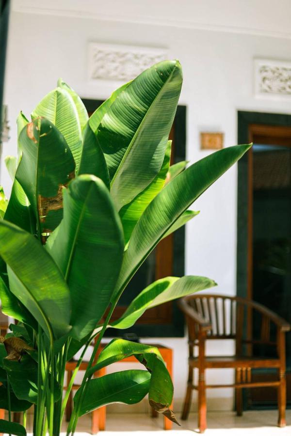 Adi Guest House チャングー エクステリア 写真
