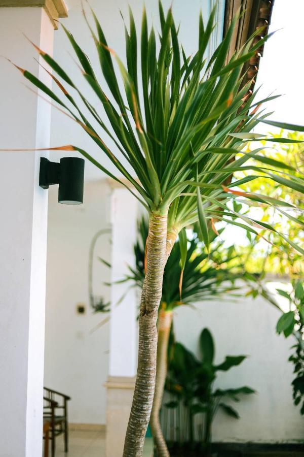 Adi Guest House チャングー エクステリア 写真